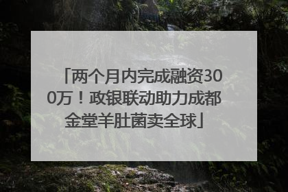 两个月内完成融资300万！政银联动助力成都金堂羊肚菌卖全球