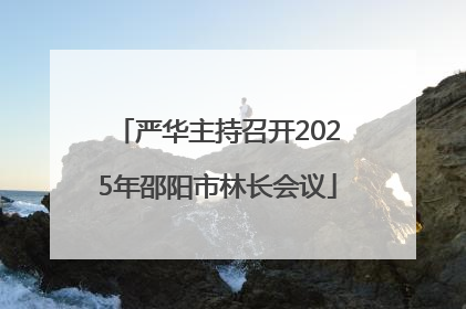 严华主持召开2025年邵阳市林长会议