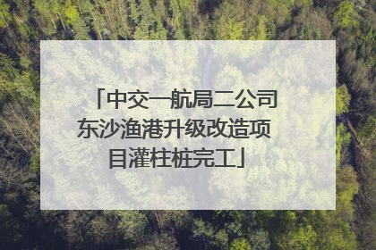 中交一航局二公司东沙渔港升级改造项目灌柱桩完工