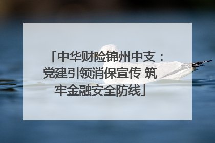 中华财险锦州中支：党建引领消保宣传 筑牢金融安全防线