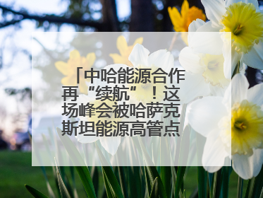 中哈能源合作再“续航”！这场峰会被哈萨克斯坦能源高管点赞“加油”