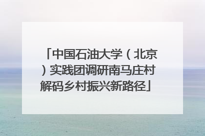 中国石油大学（北京）实践团调研南马庄村解码乡村振兴新路径