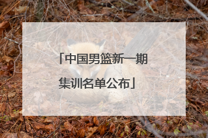中国男篮新一期集训名单公布