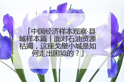 中国经济样本观察·县域样本篇丨面对石油资源枯竭，这座戈壁小城是如何走出困境的？