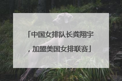中国女排队长龚翔宇，加盟美国女排联赛