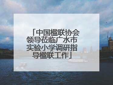 中国楹联协会领导莅临广水市实验小学调研指导楹联工作