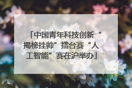 中国青年科技创新“揭榜挂帅”擂台赛“人工智能”赛在沪举办