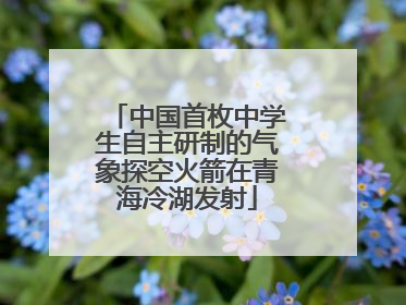 中国首枚中学生自主研制的气象探空火箭在青海冷湖发射