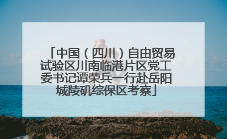 中国（四川）自由贸易试验区川南临港片区党工委书记谭荣兵一行赴岳阳城陵矶综保区考察