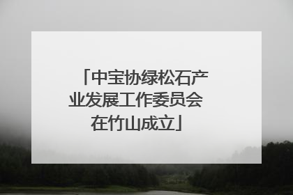 中宝协绿松石产业发展工作委员会在竹山成立