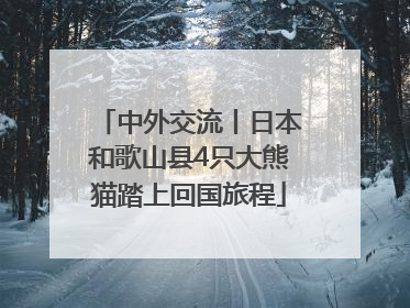 中外交流丨日本和歌山县4只大熊猫踏上回国旅程