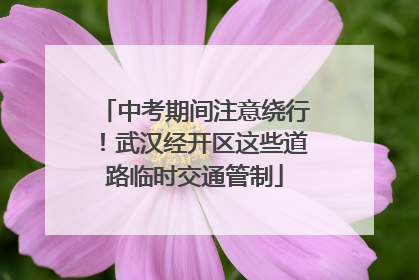 中考期间注意绕行！武汉经开区这些道路临时交通管制