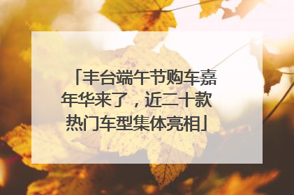 丰台端午节购车嘉年华来了，近二十款热门车型集体亮相