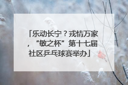 乐动长宁？戎情万家，“敏之杯”第十七届社区乒乓球赛举办