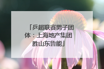 乒超联赛男子团体：上海地产集团胜山东鲁能