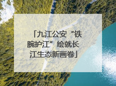九江公安“铁腕护江”绘就长江生态新画卷