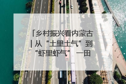 乡村振兴看内蒙古｜从“土里土气”到“虾里虾气” 一田双收模式火出圈