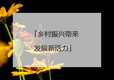 乡村振兴带来发展新活力