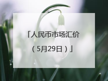 人民币市场汇价（5月29日）