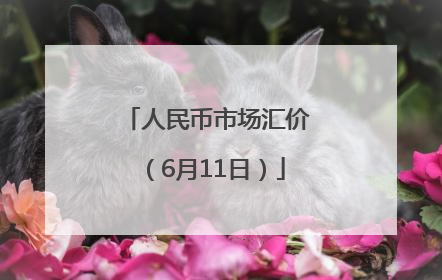 人民币市场汇价（6月11日）