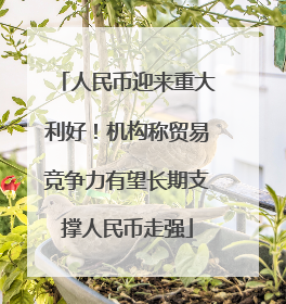 人民币迎来重大利好！机构称贸易竞争力有望长期支撑人民币走强