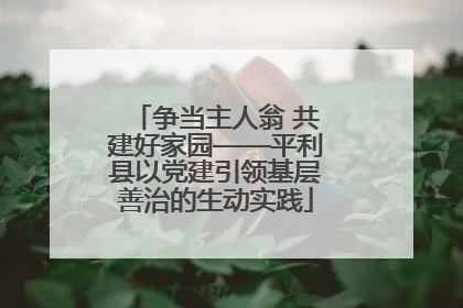 争当主人翁 共建好家园——平利县以党建引领基层善治的生动实践