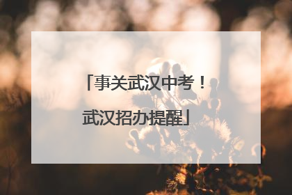 事关武汉中考！武汉招办提醒