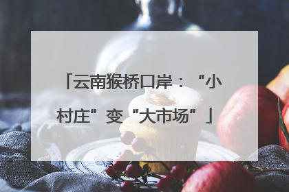 云南猴桥口岸：“小村庄”变“大市场”