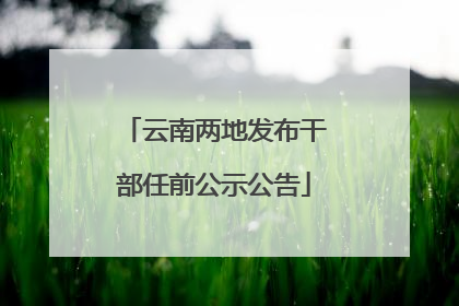 云南两地发布干部任前公示公告