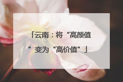 云南：将“高颜值”变为“高价值”