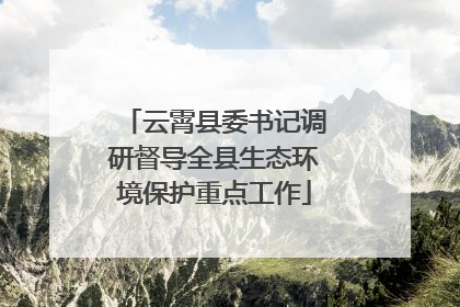 云霄县委书记调研督导全县生态环境保护重点工作