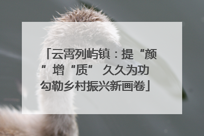 云霄列屿镇：提“颜”增“质” 久久为功勾勒乡村振兴新画卷