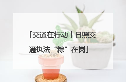 交通在行动丨日照交通执法“粽”在岗