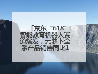 京东“618”智能教育机器人赛道爆发，元萝卜全系产品销售同比171%成黑马