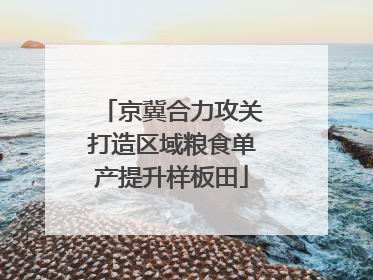 京冀合力攻关打造区域粮食单产提升样板田