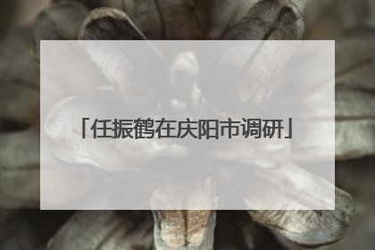 任振鹤在庆阳市调研