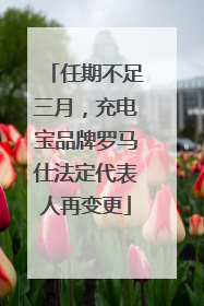 任期不足三月，充电宝品牌罗马仕法定代表人再变更