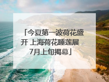 今夏第一波荷花盛开 上海荷花睡莲展7月上旬揭幕