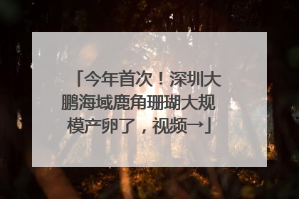 今年首次！深圳大鹏海域鹿角珊瑚大规模产卵了，视频→