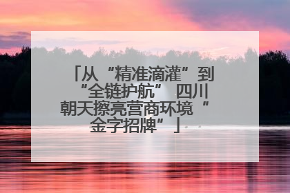 从“精准滴灌”到“全链护航” 四川朝天擦亮营商环境“金字招牌”