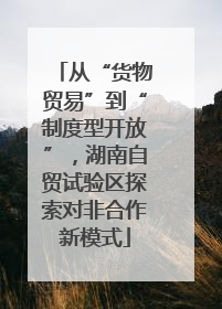 从“货物贸易”到“制度型开放”，湖南自贸试验区探索对非合作新模式