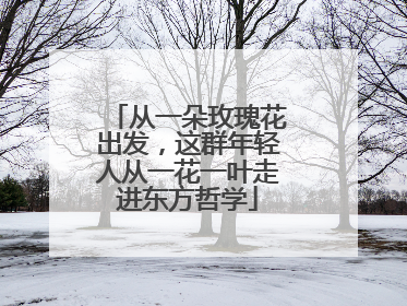 从一朵玫瑰花出发，这群年轻人从一花一叶走进东方哲学