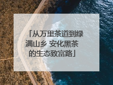 从万里茶道到绿满山乡 安化黑茶的生态致富路