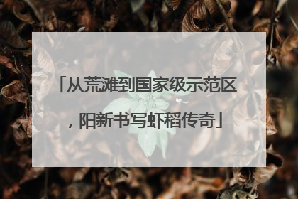 从荒滩到国家级示范区，阳新书写虾稻传奇