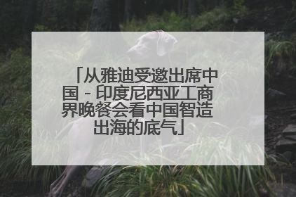 从雅迪受邀出席中国－印度尼西亚工商界晚餐会看中国智造出海的底气