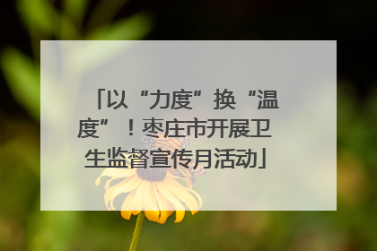 以“力度”换“温度”！枣庄市开展卫生监督宣传月活动