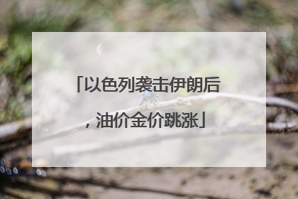以色列袭击伊朗后，油价金价跳涨