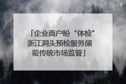 企业商户盼“体检” 浙江洞头预检服务颠覆传统市场监管
