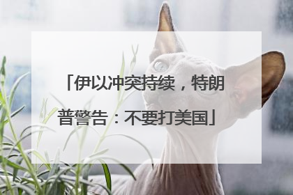 伊以冲突持续，特朗普警告：不要打美国