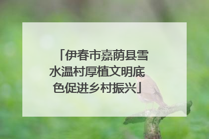 伊春市嘉荫县雪水温村厚植文明底色促进乡村振兴